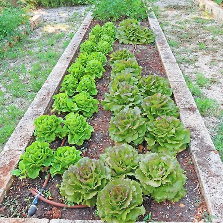 Villa Trullo Divina *